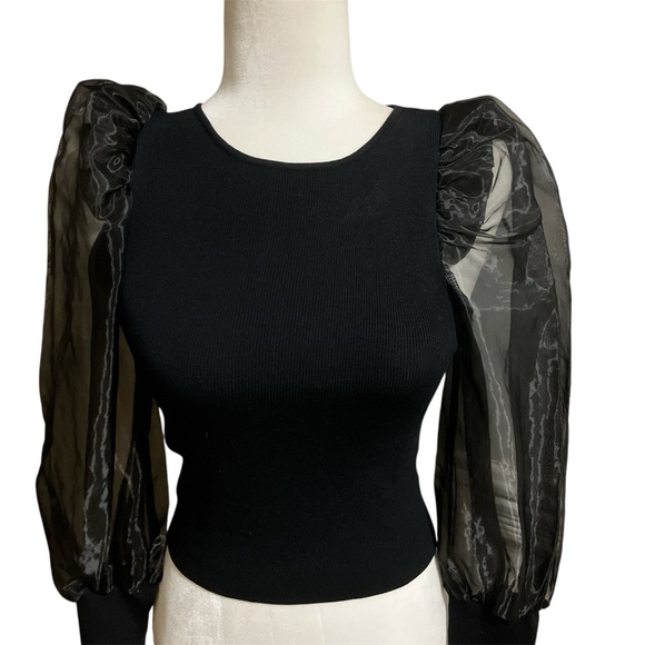 Tops - Chic Black Sheer Sleeve Blouse